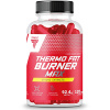 Thermo Fat Burner Max (120 таб)