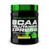 BCAA+Glutamine Xpress (300 гр)