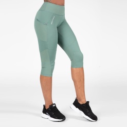 Лосины 3/4 Monroe GN