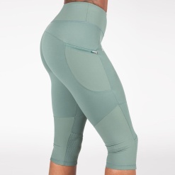 Лосины 3/4 Monroe GN