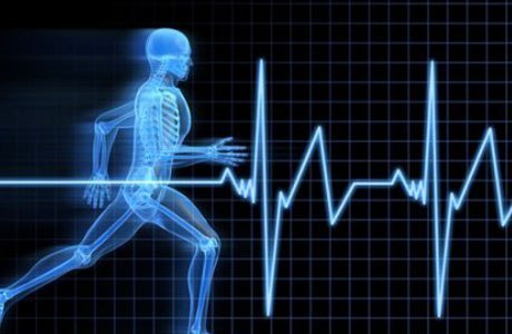 ​Пульсовые зоны.Тренировки в пульсовых зонах (кардио-нагрузки)