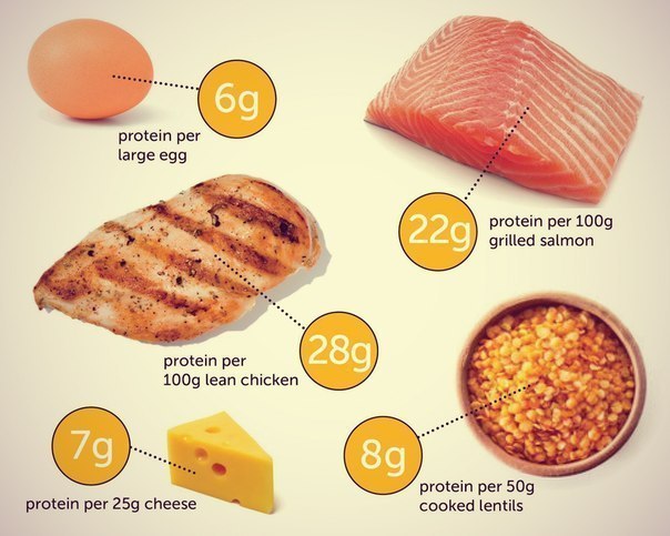 Ответы на часто задаваемые вопросы О БЕЛКЕ
