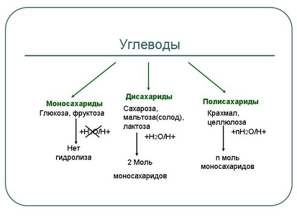 Общая характеристика углеводов. Функции углеводов