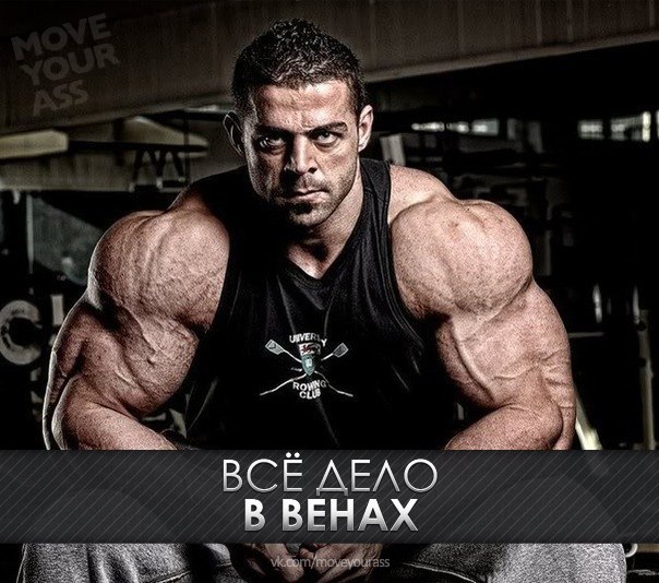 Все дело в венах