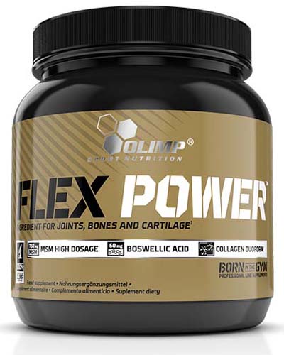 Olimp Flex Power 504 гр