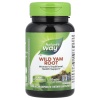 Nature`s Way Wild Yam Root 100 капс