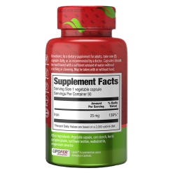 Orzax Liposomal Iron 90 капс