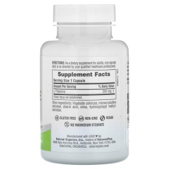 NaturesPlus L-Theanine 200 60 капс